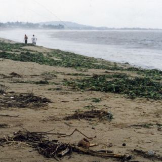 Secretaría de Turismo de Jalisco pretende reactivar Costalegre