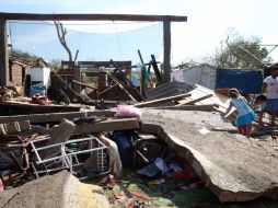 Destacan la importancia de los trabajos post emergencia para evitar enfermedades en la población afectada. EL INFORMADOR / ARCHIVO