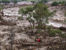 En las búsquedas de supervivientes participan bomberos, la Policía, la Defensa Civil y el Ejército. EFE / A. Lacerda