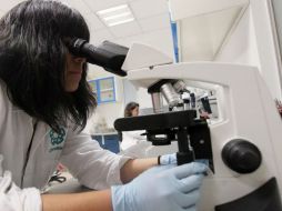 Ésto podría explicar las variaciones que existen en cuanto a la gravedad y evolución de los síntomas de la enfermedad. NTX / ARCHIVO