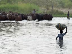 El lago Chad sigue siendo el principal punto de entrada de los yihadistas. AFP / P. Desmazes