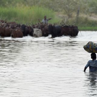 Chad declara estado de emergencia