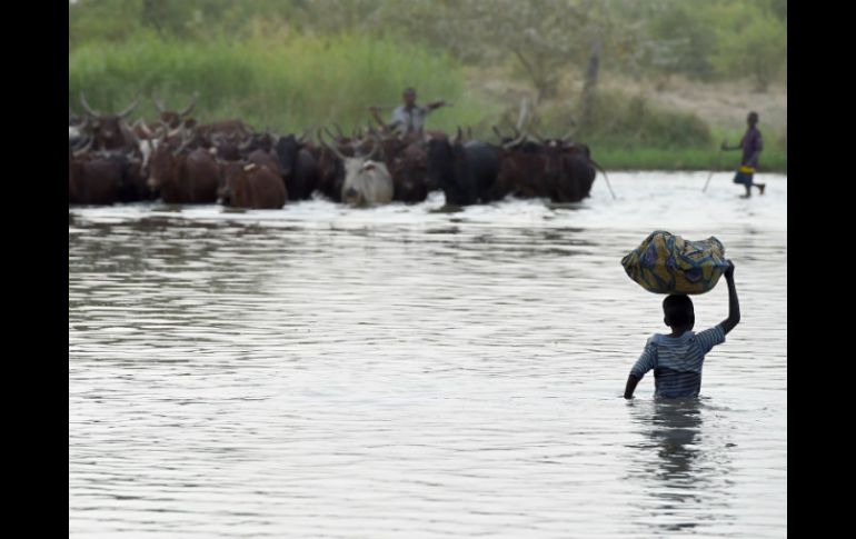 El lago Chad sigue siendo el principal punto de entrada de los yihadistas. AFP / P. Desmazes