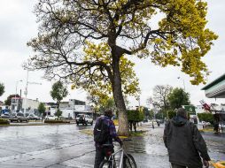 Continuará descendiendo el termómetro en Jalisco. EL INFORMADOR / A. Hernández