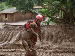 Los bomberos extreman los cuidados en las operaciones de búsqueda de víctimas luego de dos temblores en la región. AFP / D. Magno