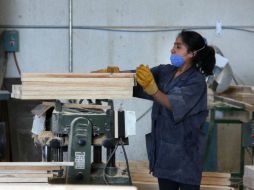 La tasa de desempleo de las mujeres mexicanas bajó de 4.4 por ciento en agosto a 4.3 por ciento en septiembre pasado.  / ARCHIVO