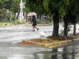 La entrada de humedad del Océano Pacífico y Golfo de México provocará nublados vespertinos con chubascos en Jalisco. EL INFORMADOR / ARCHIVO