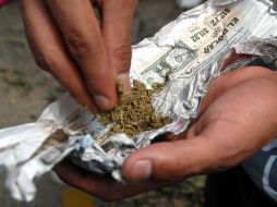 Actualmente en Colombia hay entre 380 y 400 hectáreas sembradas con mariguana. NTX / ARCHIVO