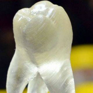 Desarrollan dientes en 3D que combaten bacterias