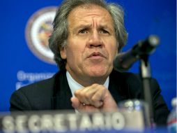 El secretario general de la OEA, Luis Almagro quiere abordar ''temas de interés común entre ambas instituciones''. AP / ARCHIVO