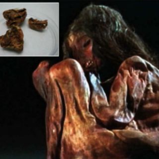 Logran secuenciar genoma de una momia infantil de hace 500 años