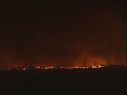 El incidente se reporta dentro de una región conocida como la 'Jungla'. Bomberos trabajan en la zona. EL INFORMADOR / ARCHIVO
