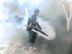 Guadalajara. La siguiente semana será el municipio con más operativos por parte de la Secretaría de Salud. EL INFORMADOR /