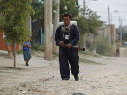 Es necesario reforzar las acciones de saneamiento ambiental. EL INFORMADOR / F. Atilano