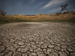 Los Altos de Jalisco vivieron los estragos de la modificación del clima con la sequía en 2011. EL INFORMADOR / ARCHIVO