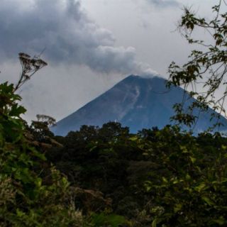 Volcán El Colima emite exhalación con ceniza