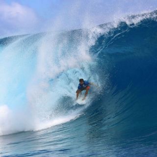 Surfista mordido por tiburón en EU se venga atrapando al escualo