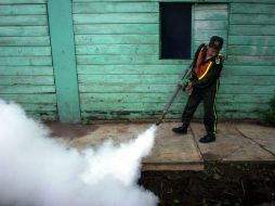Las estadísticas indican que se reportan mil 448 casos de dengue confirmados en Yucatán este año. AP / ARCHIVO