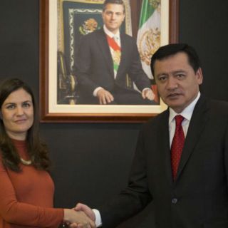 Designan a Alexandra Haas al frente del Conapred