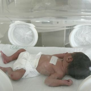 Bebés prematuros necesitan afecto para sobrevivir
