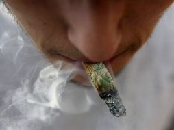 El pleno del Senado aprueba las normas para un debate sobre la mariguana. EFE / ARCHIVO