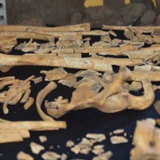 Hallan restos de sacerdote prehispánico en Tlaxcala