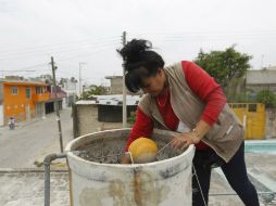 Recomiendan tapar contenedores de agua, utilizar pabellones y ropa que cubra extremidades para evitar al mosco. EL INFORMADOR / ARCHIVO