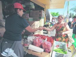 Expertos señalan que para recuperar el poder adquisitivo, el salario debe ser de 230 pesos al día. EL INFORMADOR /