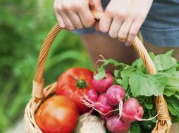 Los alimentos de origen natural son los que tienen cualidades de aportar directamente al organismo micronutrientes. ESPECIAL / ISTOCK