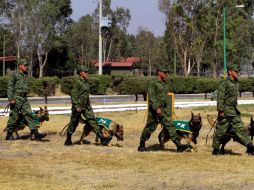 En total son mil 853 miembros de las Fuerzas Armadas mexicanas que han sido capacitados en EU. NTX / ARCHIVO