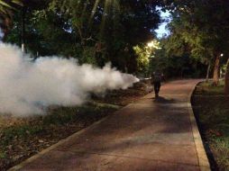 La Secretaría de Salud de Quintana Roo recomienda no bajar la guardia y continuar con las acciones de limpieza. TWITTER / @SESAQuintanaRoo