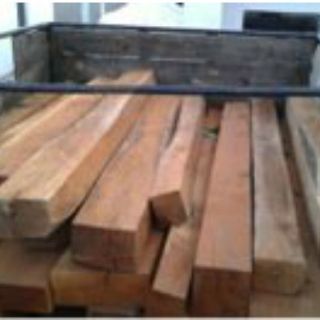 Aseguran 6.5 metros cúbicos de madera de cedro rojo en Sinaloa