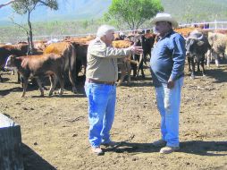 Experiencia. El Viejo y Maximiano discutiendo los secretos del campo. EL INFORMADOR / P. Fernández Somellera