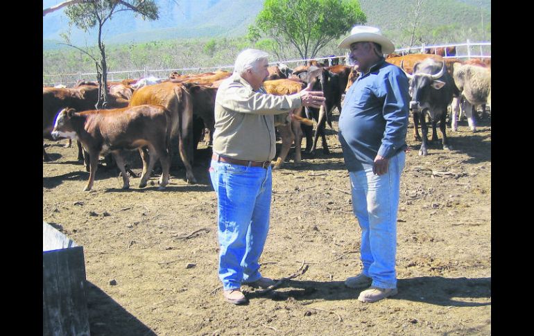 Experiencia. El Viejo y Maximiano discutiendo los secretos del campo. EL INFORMADOR / P. Fernández Somellera