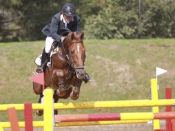 Pablo Toscano, a lomos de 'Semilly Las Palmas', es el binomio campeón de la prueba a 1.40 metros. EL INFORMADOR / F. Atilano