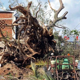 Entregan 4.8 MDP a productores afectados por 'Patricia'