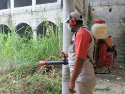 Indican que 90% de estos trabajos corresponden a control larvario y 10% a nebulización. NTX / ARCHIVO