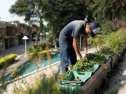 En Jalisco sólo ocho hoteles cuentan con la certificación de desempeño ambiental. Hotel Arbórea es de los pioneros. EL INFORMADOR / A. Hinojosa
