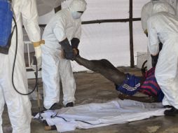 Un adolescente de 15 años es el primer paciente de ébola en el país desde que se declarara libre de la enfermedad por segunda ocasión. AP / ARCHIVO