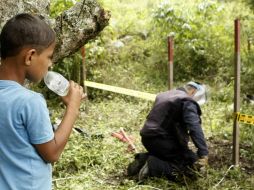 Confían en que antes de finalizar el año puedan devolver la tierra libre de artefactos explosivos. EFE / L. Noriega
