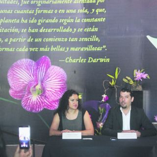 El mundo de las orquídeas en Trompo Mágico