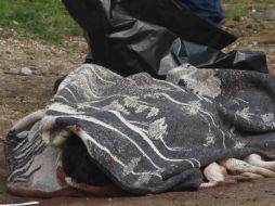 La Fiscalía informó que personal del Semefo y del área de Periciales se llevaron el cuerpo. EL INFORMADOR / ARCHIVO