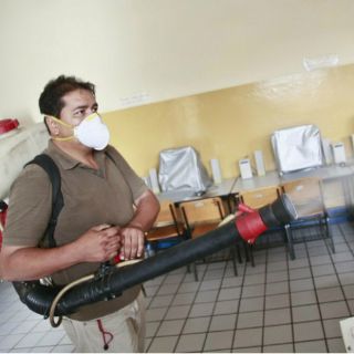 Confirman primeros dos casos de zika contraídos en México