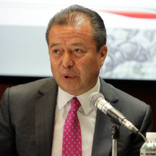 Alianza con el Partido Verde está sólida: PRI