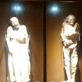 Destituyen a funcionaria por llevarse momias sin permiso