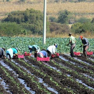 Holanda dona siete MDD para tecnología de detección de agua