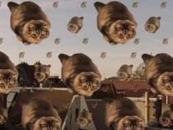 Las autoridades usan ahora fotos de gatos en los monumentos más famosos de Bruselas para atraer el turismo. YOUTUBE / VISITFLANDERS