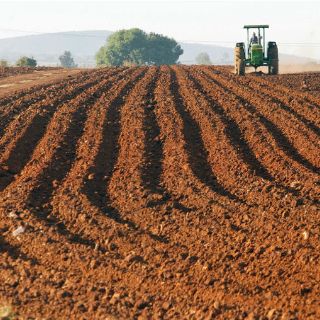 Desastres por cambio climático amenazan seguridad alimentaria: FAO