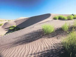 Dunas de Bilbao. Una belleza natural esculpida por el tiempo y atractivo para quienes visitan esta región de Coahuila. ESPECIAL / Gobierno de Coahuila