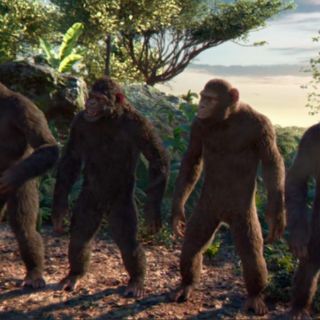 Los de Coldplay se vuelven chimpancés para su video